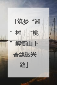 筑梦“湘”村｜“桃”醉衡山下 香飘振兴路
