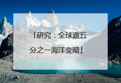 研究：全球逾五分之一海洋变暗
