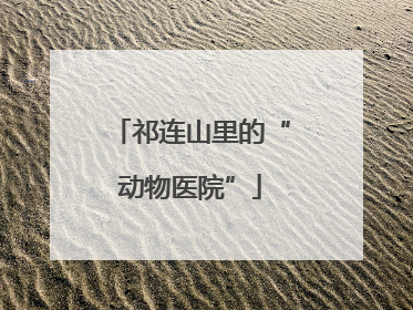 祁连山里的“动物医院”