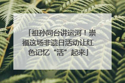 祖孙同台讲运河！崇福这场非遗日活动让红色记忆“活”起来