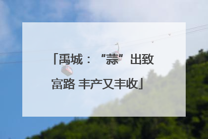 禹城：“蒜”出致富路 丰产又丰收