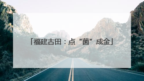 福建古田：点“菌”成金