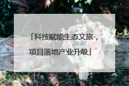 科技赋能生态文旅，项目落地产业升级