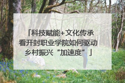 科技赋能+文化传承 看开封职业学院如何驱动乡村振兴“加速度”