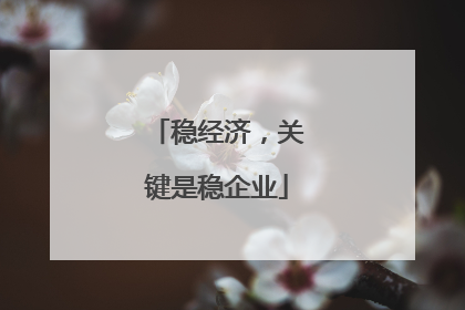 稳经济，关键是稳企业