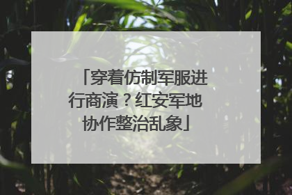 穿着仿制军服进行商演？红安军地协作整治乱象