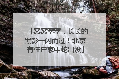 窸窸窣窣，长长的黑影一闪而过！北京有住户家中蛇出没