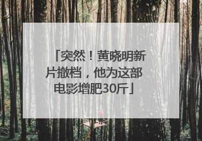 突然！黄晓明新片撤档，他为这部电影增肥30斤