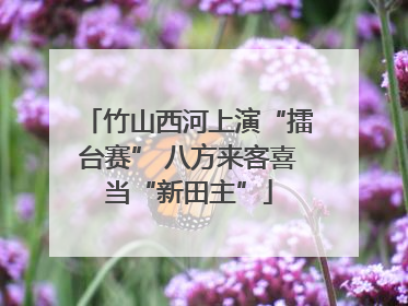 竹山西河上演“擂台赛” 八方来客喜当“新田主”