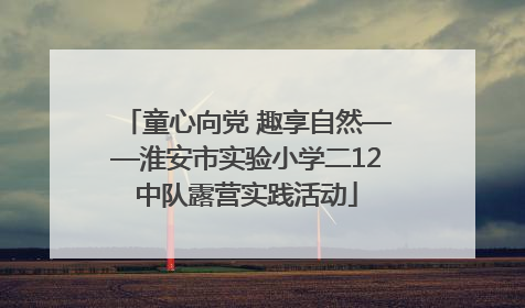 童心向党 趣享自然——淮安市实验小学二12中队露营实践活动