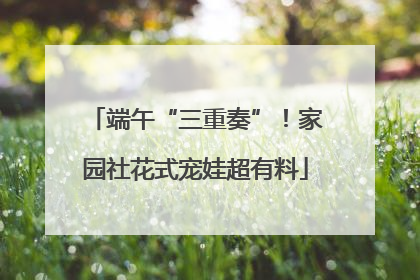 端午“三重奏”！家园社花式宠娃超有料