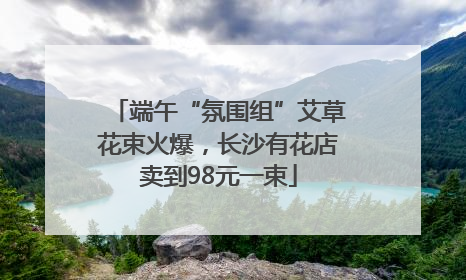 端午“氛围组”艾草花束火爆，长沙有花店卖到98元一束
