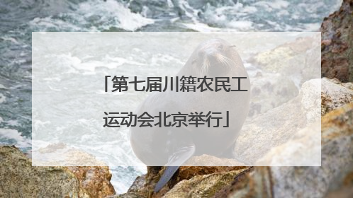 第七届川籍农民工运动会北京举行