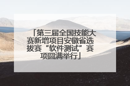 第三届全国技能大赛新增项目安徽省选拔赛“软件测试”赛项圆满举行