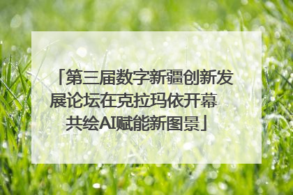第三届数字新疆创新发展论坛在克拉玛依开幕 共绘AI赋能新图景