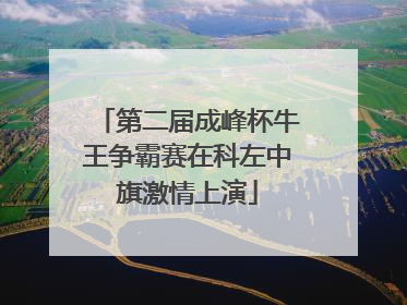 第二届成峰杯牛王争霸赛在科左中旗激情上演