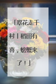 翠花走千村丨稻田有喜，螃蟹来了！