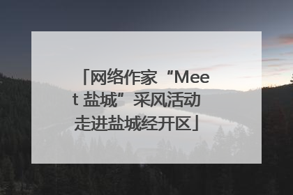 网络作家“Meet 盐城”采风活动走进盐城经开区