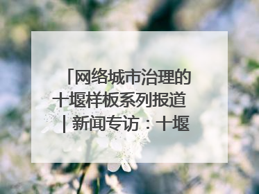 网络城市治理的十堰样板系列报道｜新闻专访：十堰为什么成为“黑马型”城市治理网络维度典型