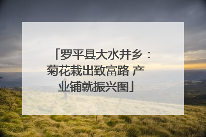 罗平县大水井乡：菊花栽出致富路 产业铺就振兴图
