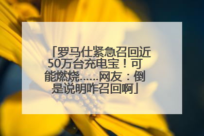 罗马仕紧急召回近50万台充电宝！可能燃烧……网友：倒是说明咋召回啊
