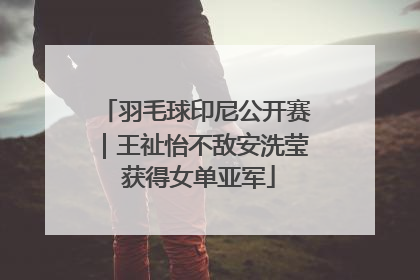 羽毛球印尼公开赛｜王祉怡不敌安洗莹 获得女单亚军