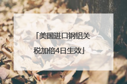 美国进口钢铝关税加倍4日生效