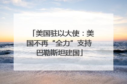 美国驻以大使：美国不再“全力”支持巴勒斯坦建国