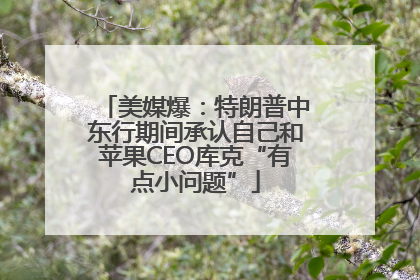 美媒爆：特朗普中东行期间承认自己和苹果CEO库克“有点小问题”