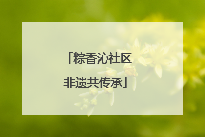 粽香沁社区 非遗共传承