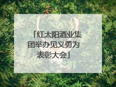 红太阳酒业集团举办见义勇为表彰大会