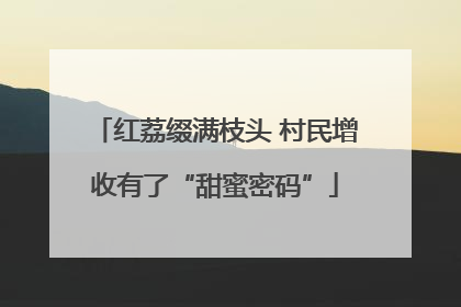 红荔缀满枝头 村民增收有了“甜蜜密码”