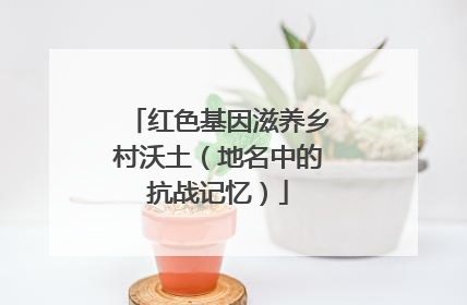 红色基因滋养乡村沃土（地名中的抗战记忆）