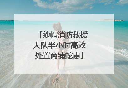 纱帽消防救援大队半小时高效处置商铺蛇患