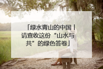 绿水青山的中国丨请查收这份“山水与共”的绿色答卷