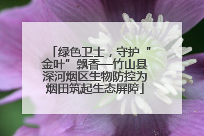绿色卫士，守护“金叶”飘香—竹山县深河烟区生物防控为烟田筑起生态屏障