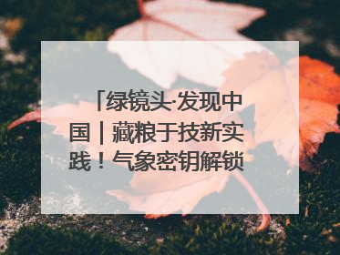 绿镜头·发现中国|藏粮于技新实践!气象密钥解锁青稞高产基因