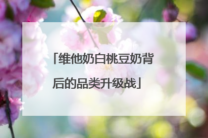 维他奶白桃豆奶背后的品类升级战