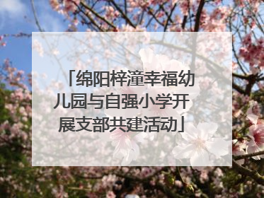 绵阳梓潼幸福幼儿园与自强小学开展支部共建活动