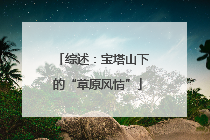 综述：宝塔山下的“草原风情”