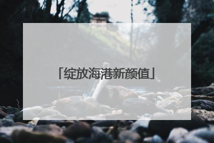 绽放海港新颜值