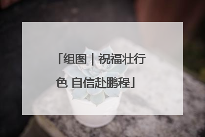 组图｜祝福壮行色 自信赴鹏程