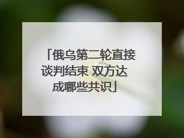 俄乌第二轮直接谈判结束 双方达成哪些共识