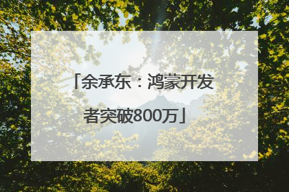 余承东：鸿蒙开发者突破800万