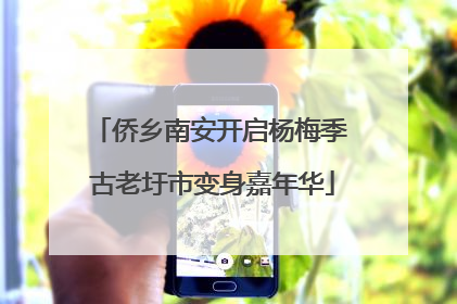 侨乡南安开启杨梅季 古老圩市变身嘉年华
