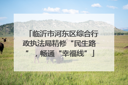 临沂市河东区综合行政执法局精修“民生路”，畅通“幸福线”