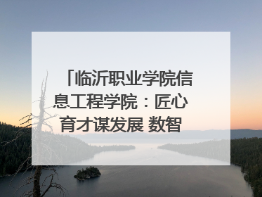 临沂职业学院信息工程学院：匠心育才谋发展 数智赋能谱新篇