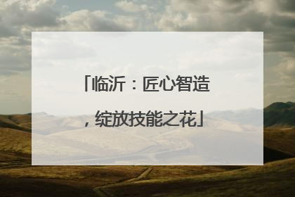 临沂：匠心智造，绽放技能之花