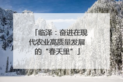 临泽：奋进在现代农业高质量发展的“春天里”