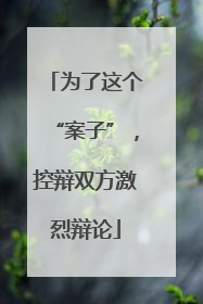 为了这个“案子”，控辩双方激烈辩论